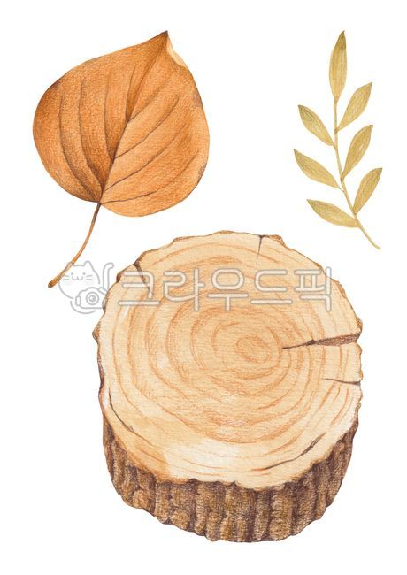 branch,Maple leaf,colored pencil drawing,fallen leaves,fall,twig,drawing,color pencil,season,colored,drawn,hand,handwork,nature,leaf,pencil,brown,painting,plant,illustration,autumn,object