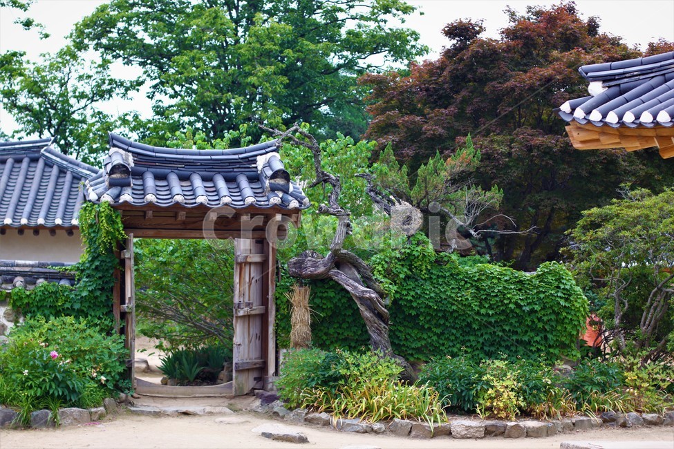 한옥,고택,정원,꽃,나무