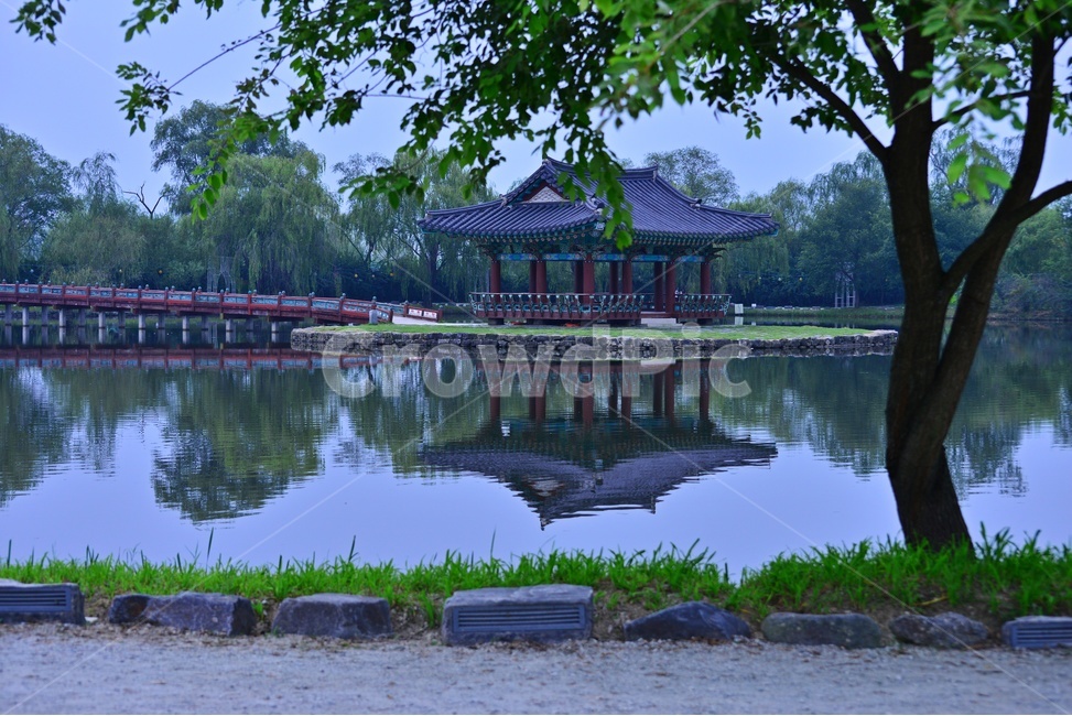 bench,벤치,furniture,가구,nature,자연,water,물,outdoors,옥외,부여,궁남지,여름,계절,궁남지여름,반영