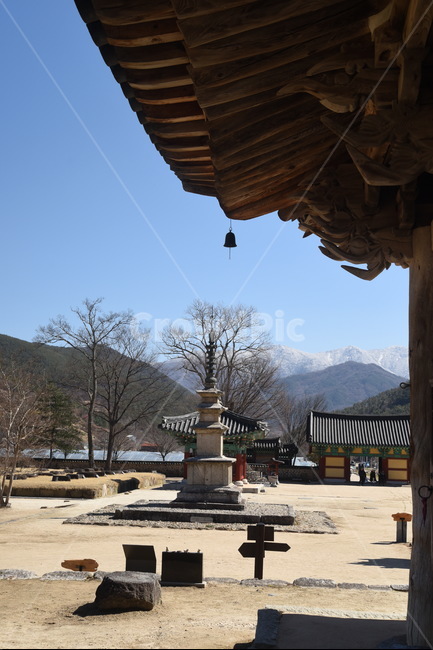 실상사,삼층석탑,처마,문화재,보물,기념물,사찰,절,건축물,temple,architecture,bulding,풍경,안마당