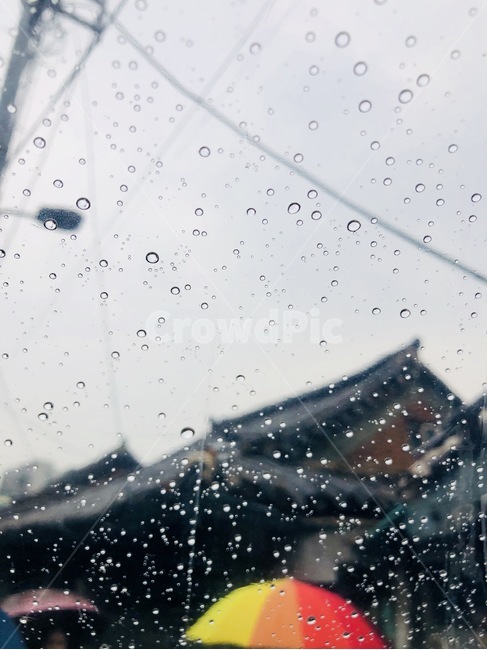 익선동,비,빗방울,우산,한옥,비,비오는날,rain,rainy