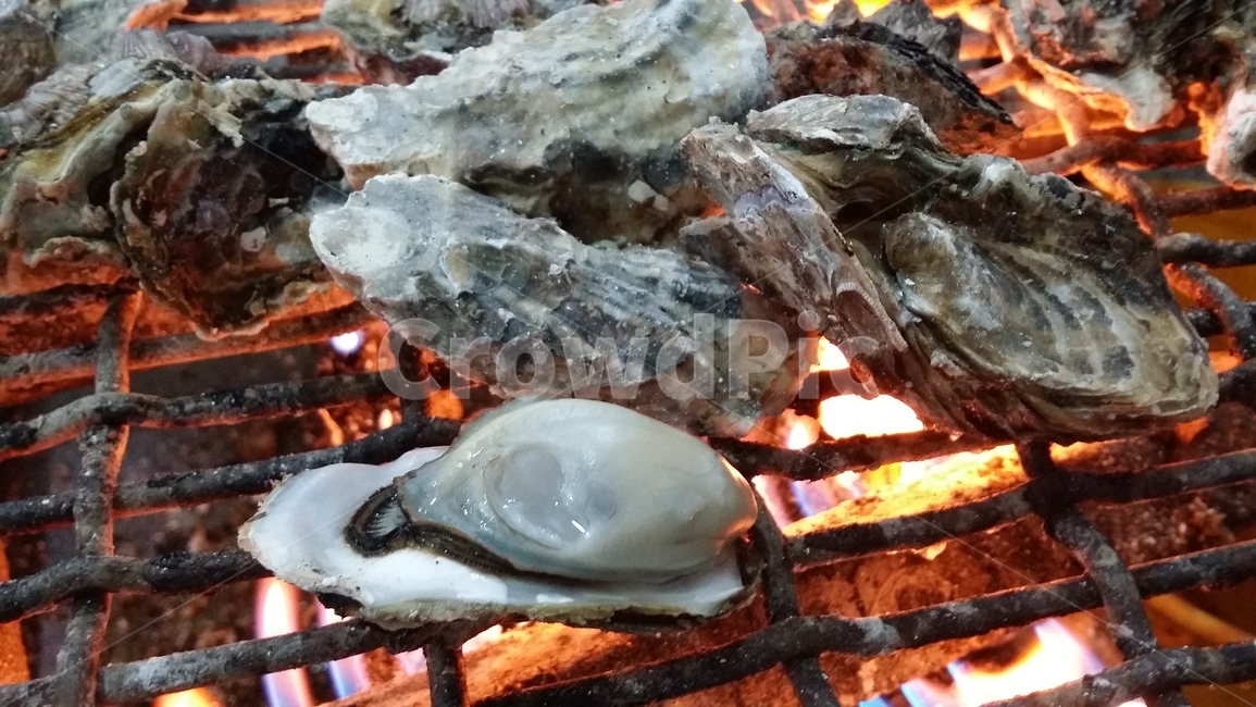 굴,굴구이,석화,oyster,겨울음식,보령굴,천북굴,음식,신선,통영,보령,굴회,통영굴,dishes,meal,fishery,조개,products,seafood
