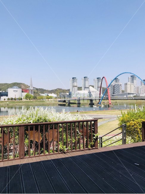 갑천,엑스포다리,한빛탑,건물,꽃,하늘,맑음