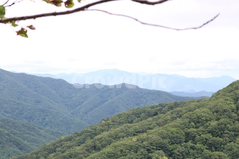 여름,휴가,강원도,산,나무,하늘,자연,풍경,식물,푸름,summer,natsu,vacation,kyuuka,mountain,yama,tree,ki,sky,sora,nature,plants,shokubutsu,초록,green,midori,산맥,여름,계절,summer,season,자연,풍경,nature,landscape,한국자연풍경,한국자연경관,korea nature landscape,outdoors,옥외