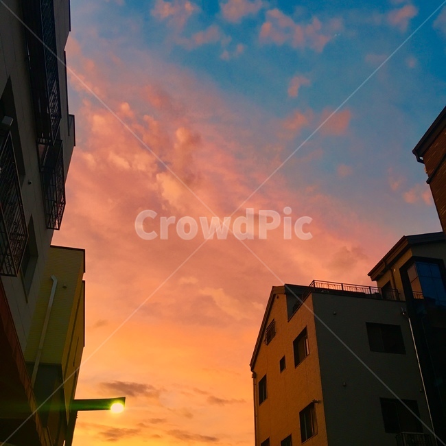 하늘,풍경,노을,핑크색,여름,석양,sky,bluesky,분홍색하늘,pinksky,색체,색상,색감,색깔,해질녘,구름,일몰,자연,도시,내맘포토,nature,감성사진