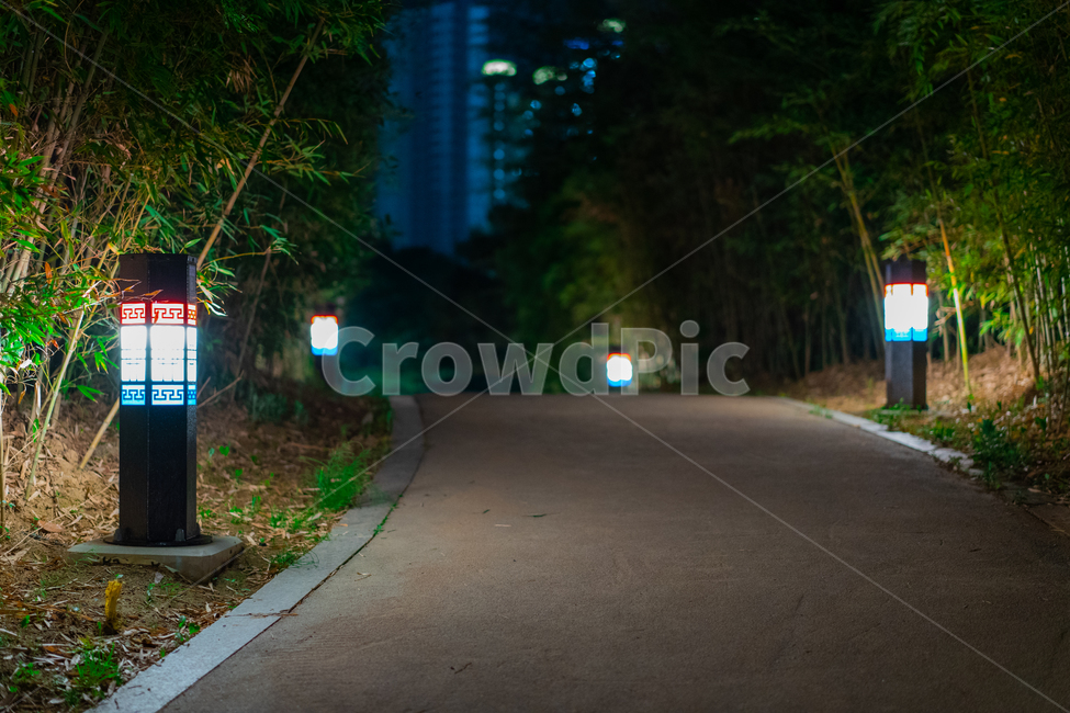 산책,불빛,전통,나무,야경,공원,식물,plant,tree,light,night,park