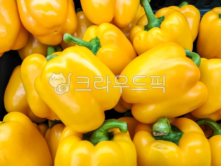 파프리카, 야채, 채소, 음식, 푸드, 사진,이미지,일러스트,캘리그라피 - Nyundongcheol작가