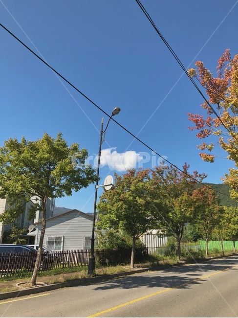 하늘,sky,구름,clouds,파란하늘,자연,nature,풍경,scenery,landscape,색깔,색상,색채,색감,colorsense,colorsensitivity,feelingofcolor,plant,식물,tree,나무