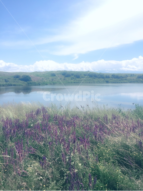 라벤더,자연,하늘,물,산,nature,outdoors,water,옥외