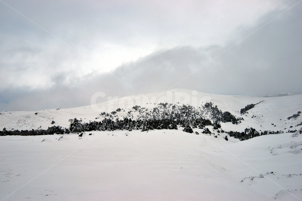 한라산,제주도,영실코스,설경,눈,겨울,설화,겨울,계절,winter,season