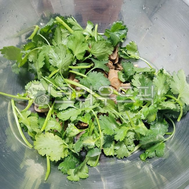 음식,food,cilantro,고수,야채,채소