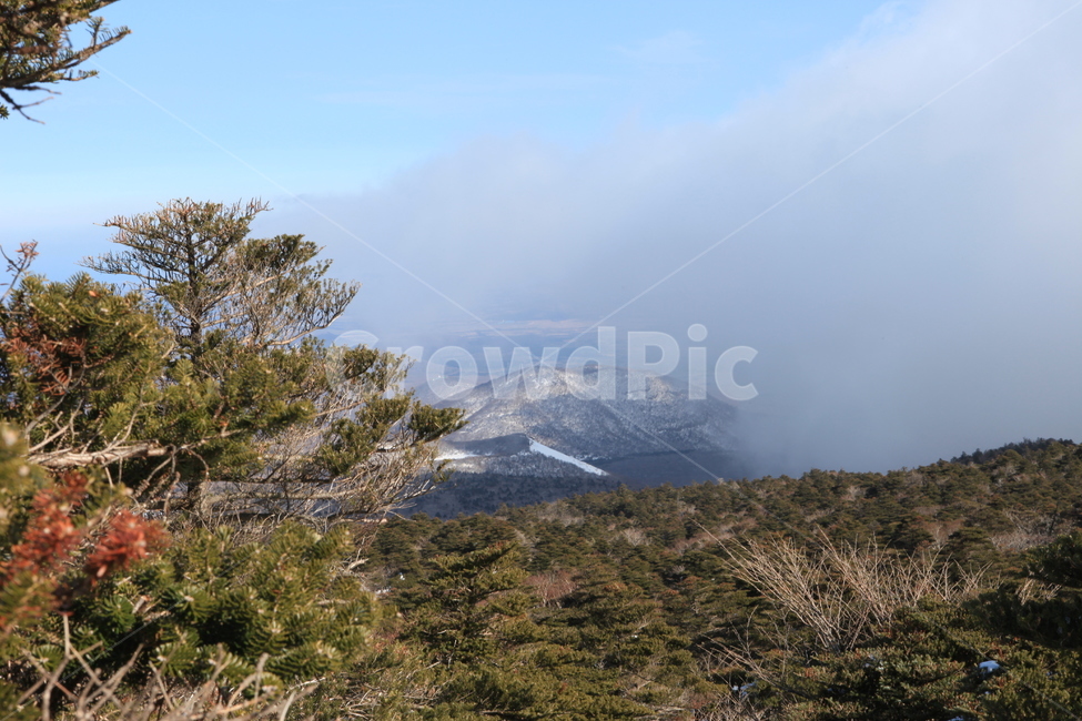 한라산,겨울,눈,자연,구름,하늘,풍경,국립공원,겨울,계절,winter,season,자연,풍경,nature,landscape,한국자연풍경,한국자연경관,korea nature landscape,제주도,jeju,jeju island,tree,나무,plant,식물