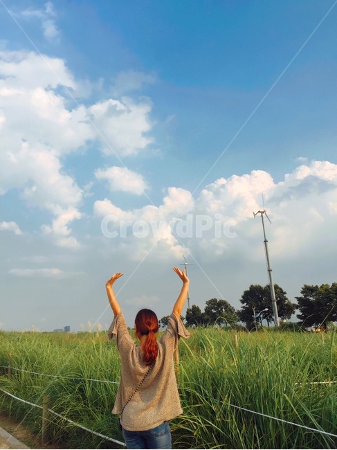구름,억새,여자,만세,하늘,가을,여성,느낌,분위기,하늘공원,억새풀,sky,fall,계절,나무,초록,자연,풍경,한국경치,한국풍경,사람,인물,인간,human,person,여성,여자,woman,female,lady