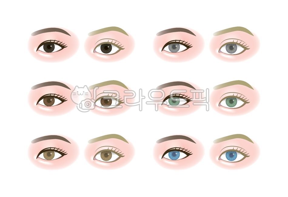 다양한,종류,눈,눈동자,안구,렌즈,컬러,색상,색깔,색,아시안,동양인,서양인,쌍커풀,검은,검정,검정색,갈색,회색,초록,초록색,하늘색,파란,파란색,뷰티,미용,코스메틱,예쁜,아름다운,여자,여성,일러스트,세트,비교