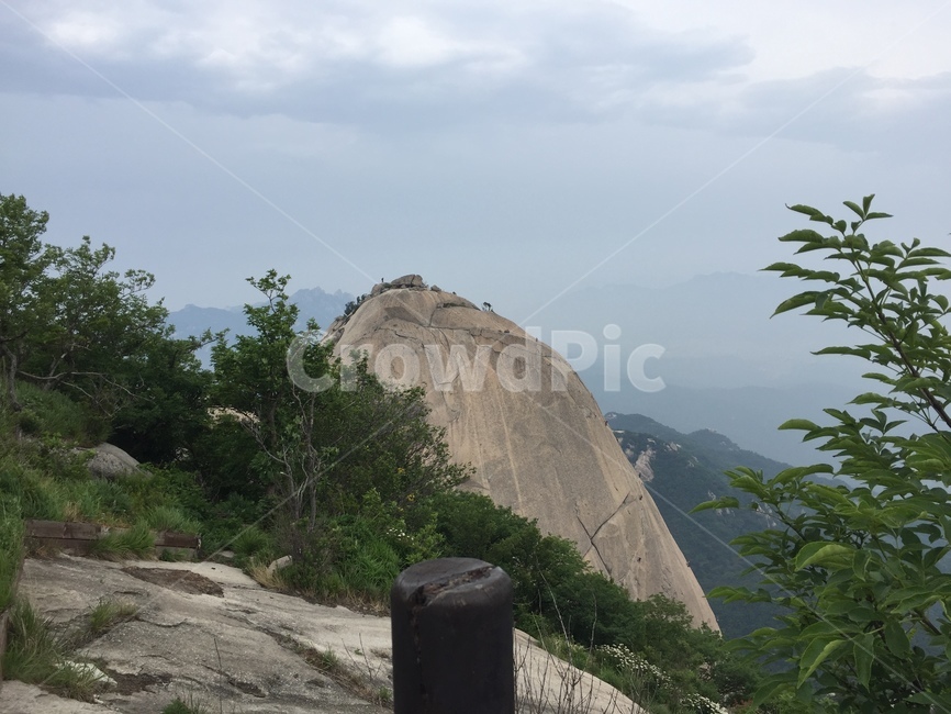 산,암벽,봉우리,숲,나무