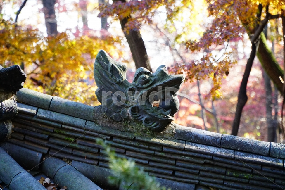 한국,한국전통,한국문화,전통,문화,한옥,불교,사찰,절,종교,korea,seoul,tradition,custom,culture,Buddhism,기와,지붕,처마,건물,건축,나무,가을,tree,autumn,fall,season,계절,나뭇가지,자연,nature,용머리,용두,문화재,landscape,역사,히스토리,history,11월,dragon,드래곤,동물,전설,animal,조각,조형,미술,예술,용마루,추녀마루,내림마루,잡상,와제,10신상,한국풍경,한국적인,한국전통,한국문화,korean traditional,korean culture,건축물,건물외관,exterior,building,structure,architecture,construction