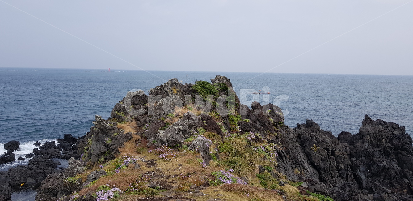 자연풍경,제주풍경,제주도,봄,바다,자연,풍경,nature,landscape,promontory,곶