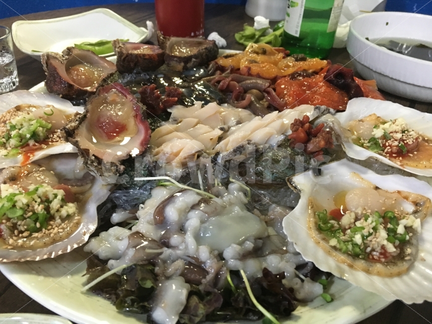 회,음식사진,낙지,가리비,멍게,해삼,해산물,해산물사진,해산물모듬,음식,식재료,요리,food,cook,meal,dishes,food reserves,수산물,해산물,fishery products,seafood
