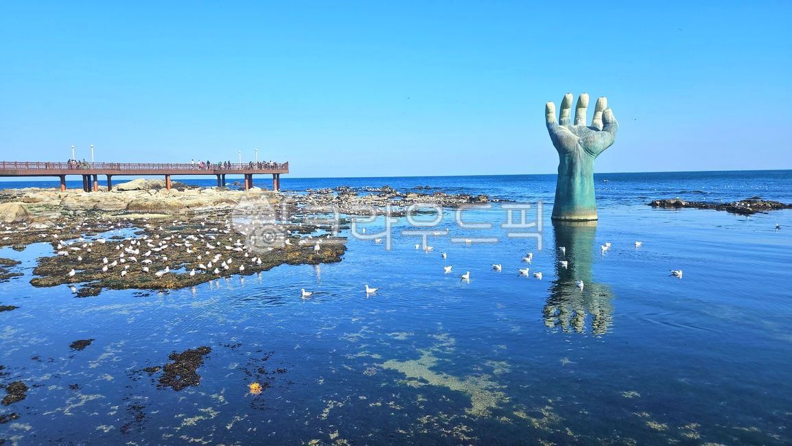 포항,포항손바닥,호미곶,해맞이,해안가,waterfront,sea,바다,자연,nature,해돋이