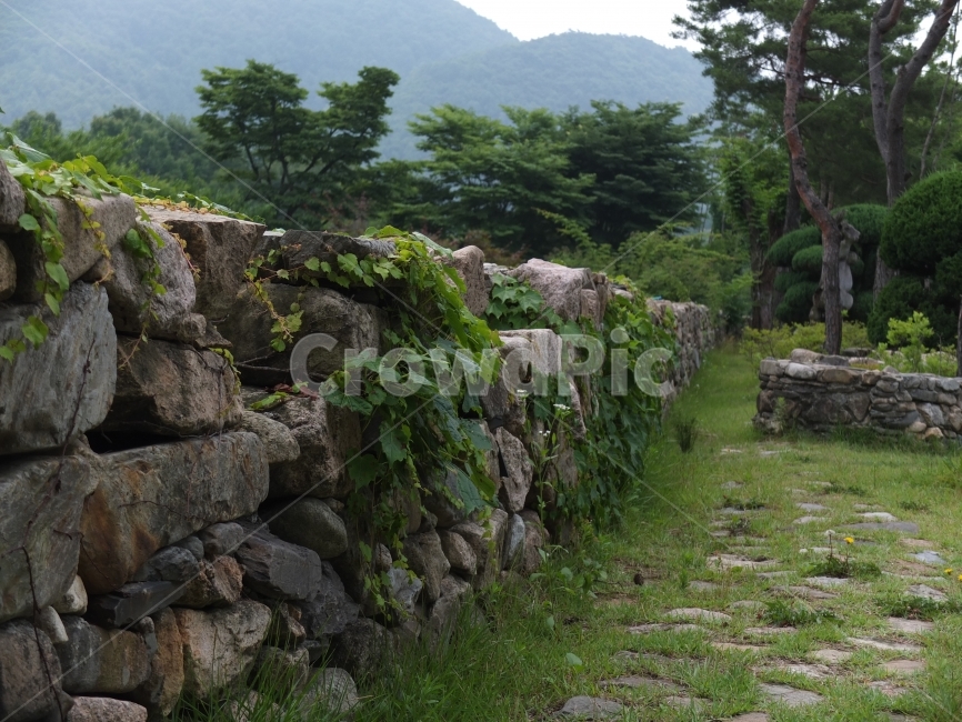 돌담,담벼락,풍경,자연,인공,담쟁이,자연,풍경,nature,landscape,wall,벽,stone wall,rubble,파편