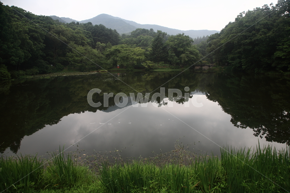 수목원,호수,반영,아침,흐린날,자연,풍경,nature,landscape,water,물,outdoors,옥외,pond,못