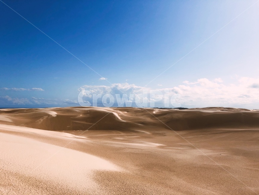 시드니,포트스테판,사막,모래,뜨거움,흙,soil,sand,모래언덕,사구,nature,자연,dune,자연,풍경,nature,landscape,outdoors,옥외,모래 언덕
