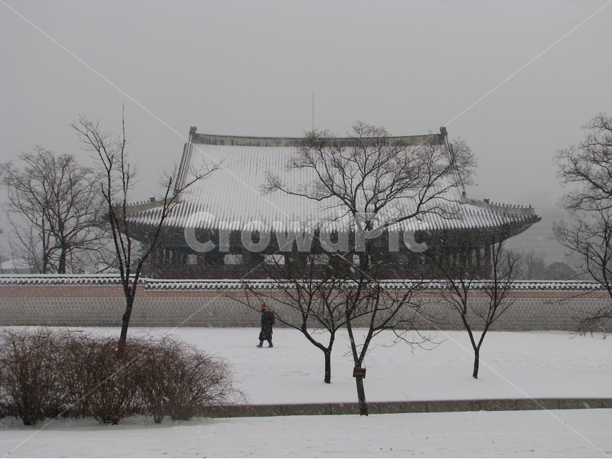 궁궐,경복궁,겨울,눈,한국,대한민국,겨울,계절,winter,season,한국전통,한국문화,korean traditional,korean culture,랜드마크,landmark,tourist attraction,한국랜드마크,한국관광지,한국명소,korea landmark,korea tourist attraction,건축물,건물외관,exterior,building,structure,architecture,construction