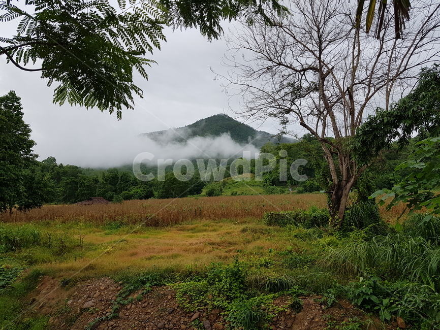 뒷산,높은산,먹구름,자연,우기,배경화면,옥수수추수