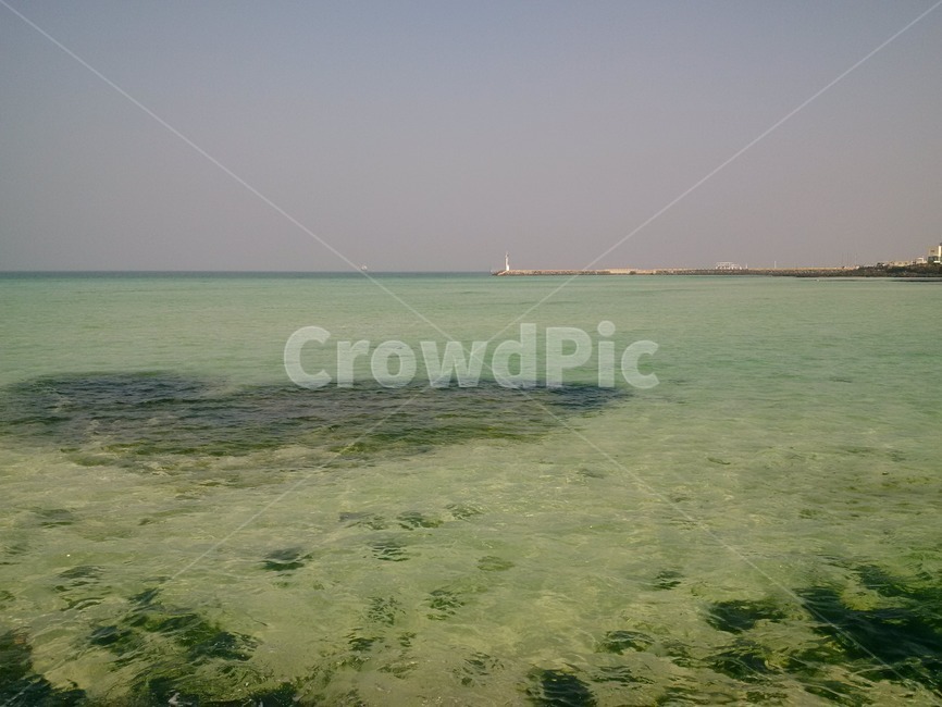 바다,물,해변,자연,sea,water,beach,nature