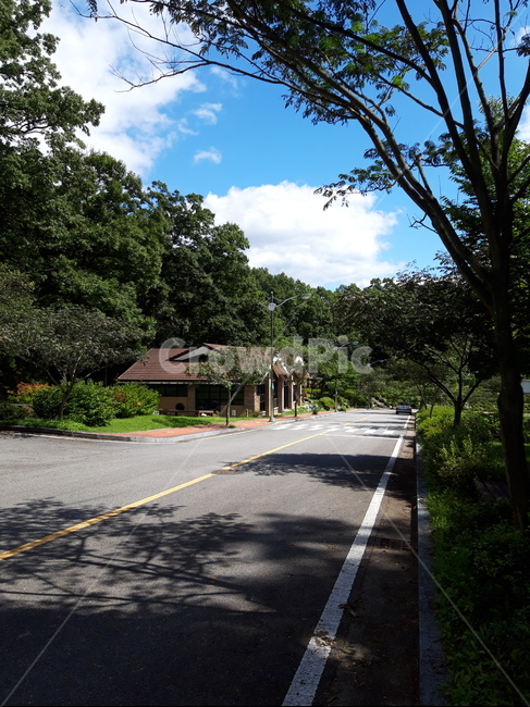 road,도로,아스팔트,asphalt,타맥,tarmac,교통,교통수단,traffic,transportation