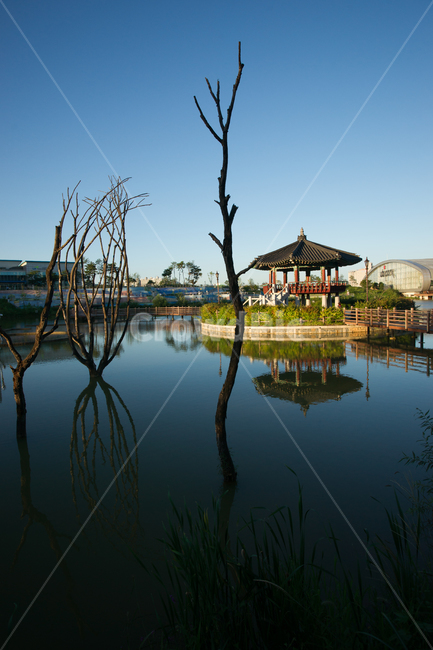 정자,반영,교각,물,운정호수공원,나목,물에잠긴나무,도심정자,호수