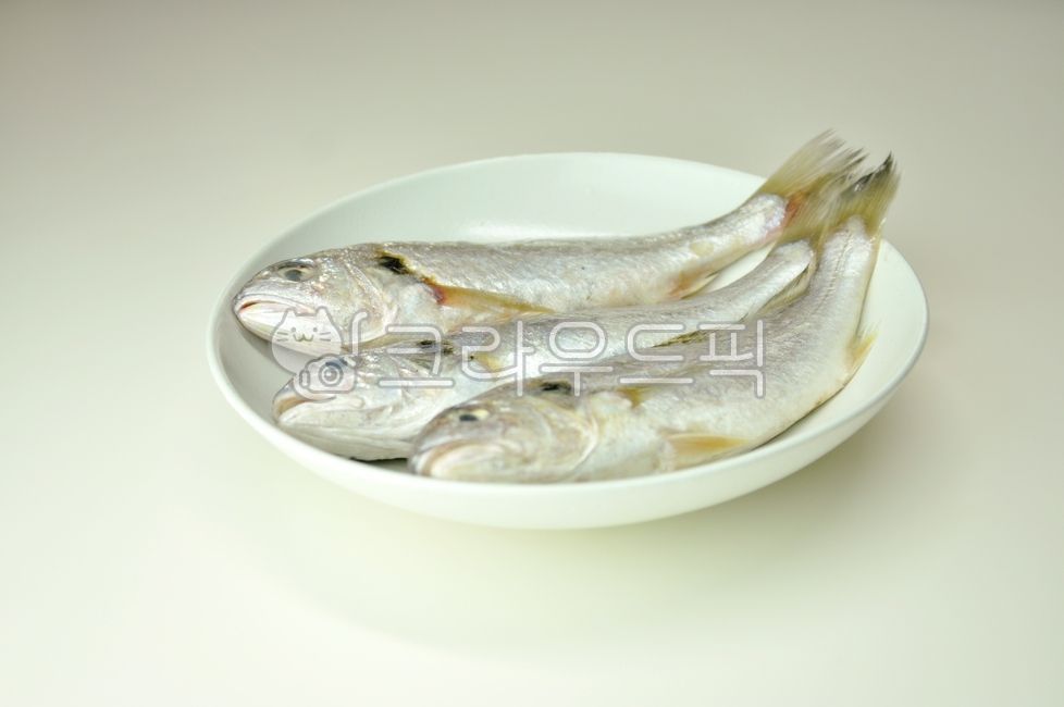 조기, 어류, 생선, 해산물, 수산물, 사진,이미지,일러스트,캘리그라피 - 깨비선생작가