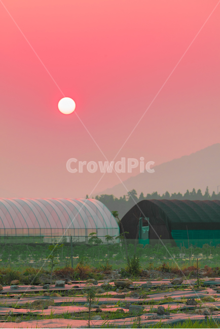 자연,풍경,감성,nature,scenery,landscape,시골,마을,풍경,landscape,country,rural,town,색깔,색상,색채,색감,color sense,color sensitivity,feeling of color,산업,industry,industrial,농업,농사,agriculture,farming,farming industry