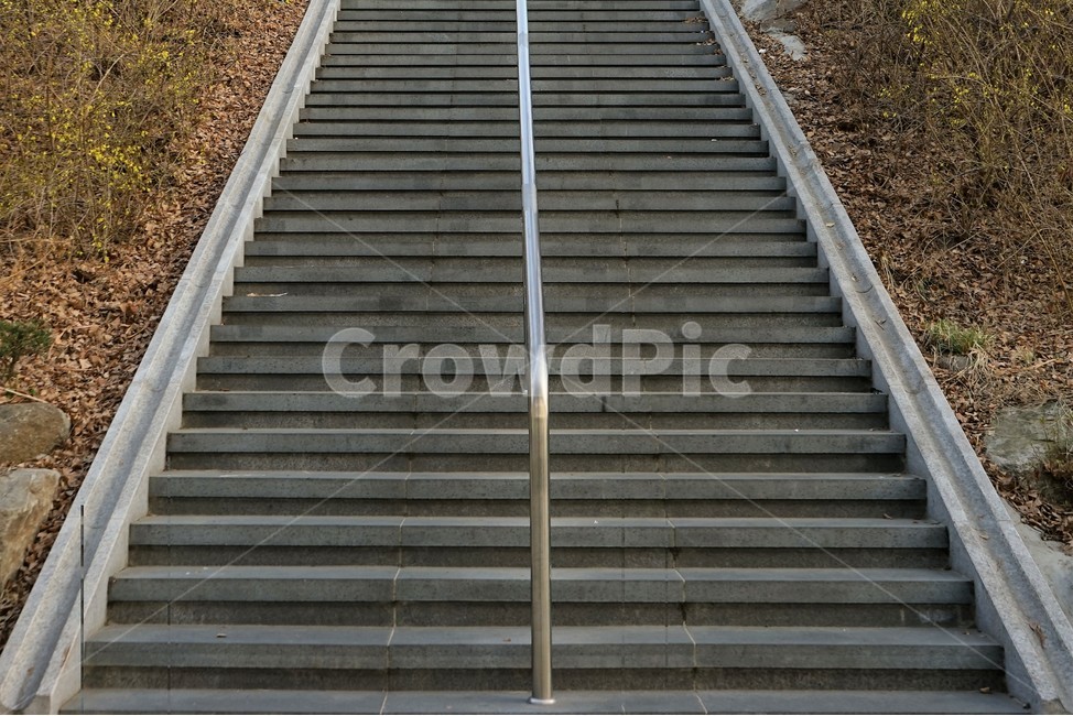 계단,규칙,봄,오르막,난간,stairs,spring,up,railing,자연,풍경,nature,landscape,staircase,handrail,banister