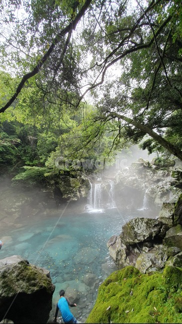 원앙폭포,water,nature,물,푸른,outdoors,제주도,자연,풍경,자연,풍경,nature,landscape
