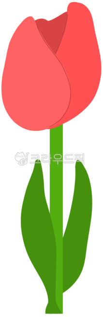 Tulip,tulip image,single tulip,tulip illustration,hand-drawn tulip,flower image