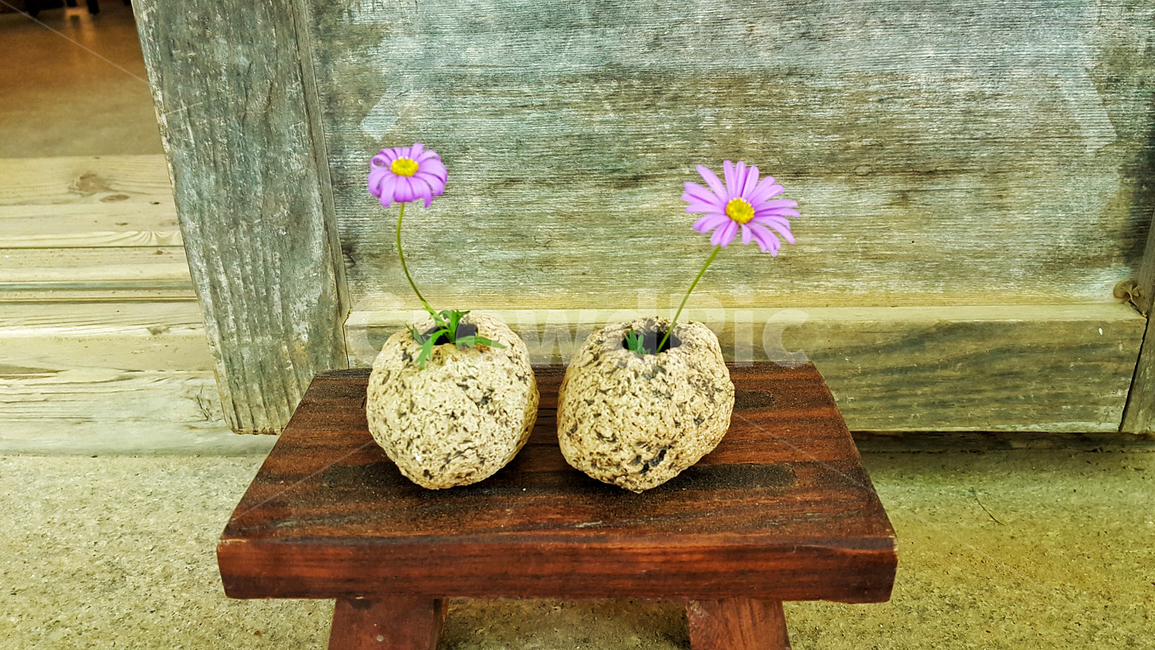 꽃,화분,탁자,화초,식물,자연,인테리어,plants,nature,분홍꽃,나무탁자,나무문