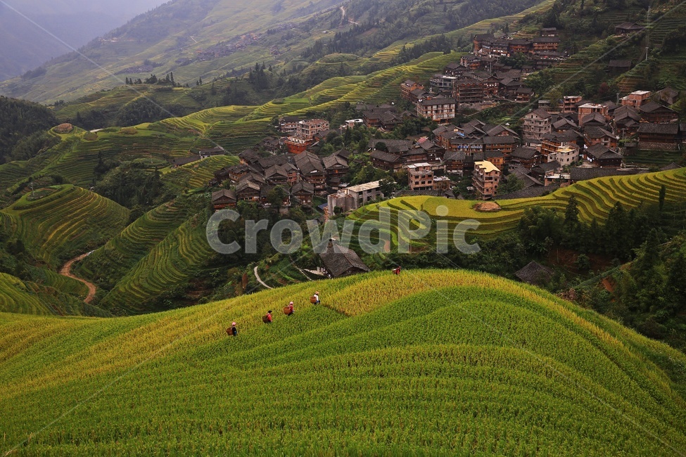 nature,자연,outdoors,옥외,scenery,풍경,landscape,경치,slope,경사,mountain,산,mountainrange,산맥,중국,계림,용척,용척제전,다랭이논,용척다랭이논,농업,농사,경작,농경지,집,가옥,사람,인간,원주민