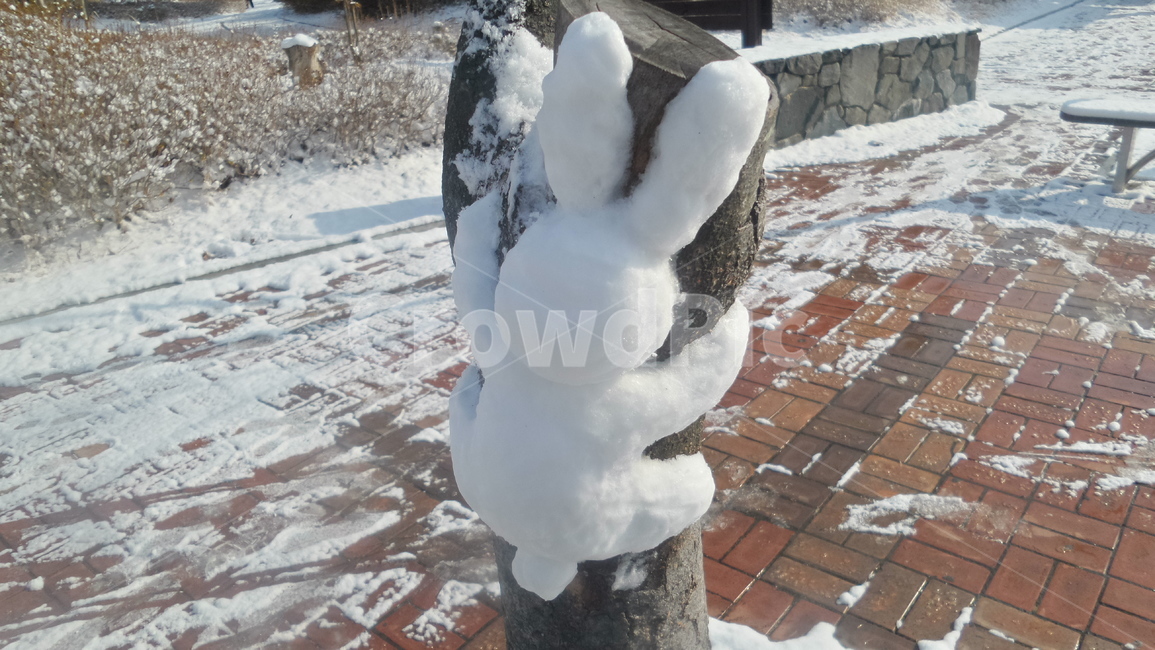 눈토끼,토끼,눈사람,눈,겨울,실외,밖,야외,공원,snow,winter,겨울,계절,winter,season