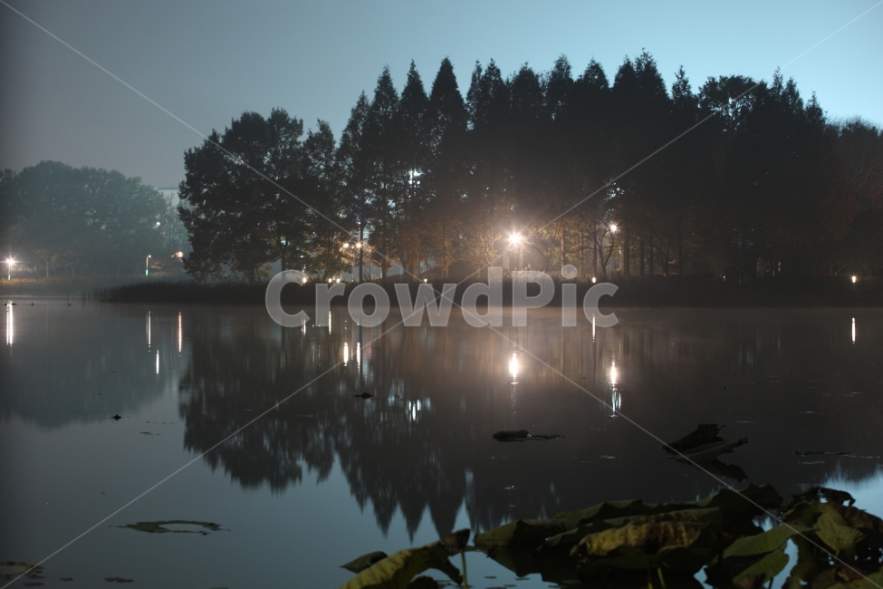 야경,반영,호수,공원,nightview,night,lake,park,자연,풍경,nature,landscape,야경,밤,nightscape,night