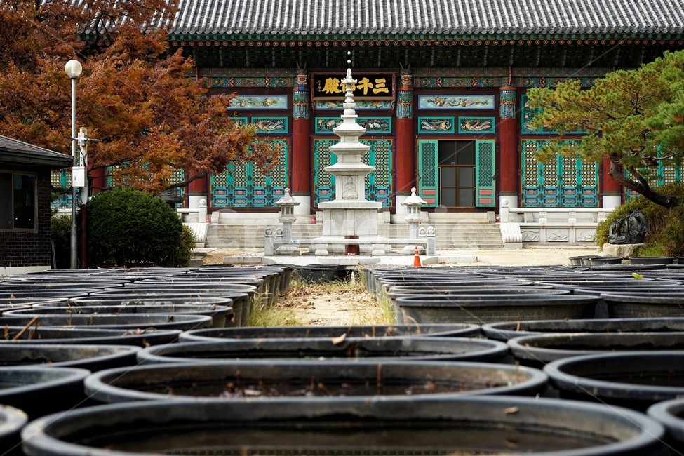 연꽃,대야,물,사찰,고무대야,수생식물,석탑,한국전통건축,기와,비구니,도량,종교,불교,기와지붕,전통건축,기와집,지붕,전통,한옥,패턴,배경,전통적인,한국의,construction,한국전통,한국문화,koreantraditional,koreanculture,건축물,건물외관,exterior,building,structure,architecture,종교,신앙,religion,belief,faith