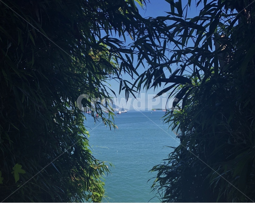 풍경,바다,대나무,그린,자연,자연,풍경,nature,landscape,land,땅,outdoors,옥외,shoreline,해안선,water,물,sea,ocean,대양,coast,연안