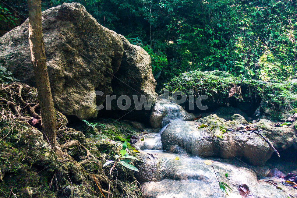 water,옥외,vegetation,물,nature,초목,plant,자연,outdoors,식물,푸른,산,숲
