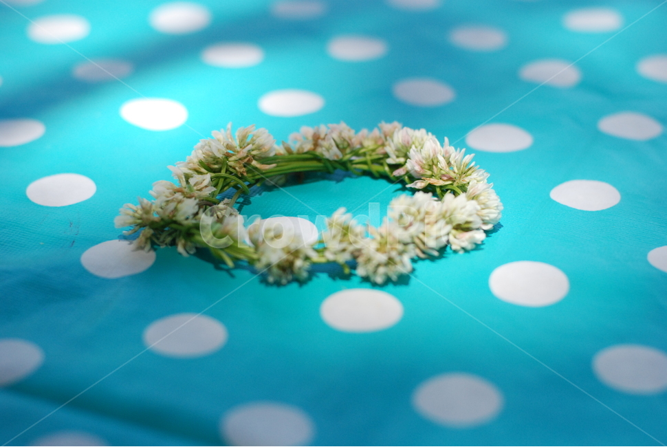 꽃,꽃팔찌,들꽃,꽃묶음,flower,flowerbracelet