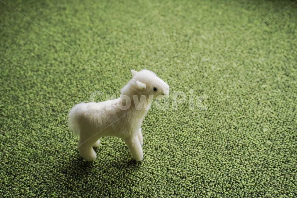 green,toy,baby,horse,white,봄,어린이,장난감,말,인형,흰색,초록,spring,외로움,background,배경,반려동물장난감,반려동물,고양이,강아지