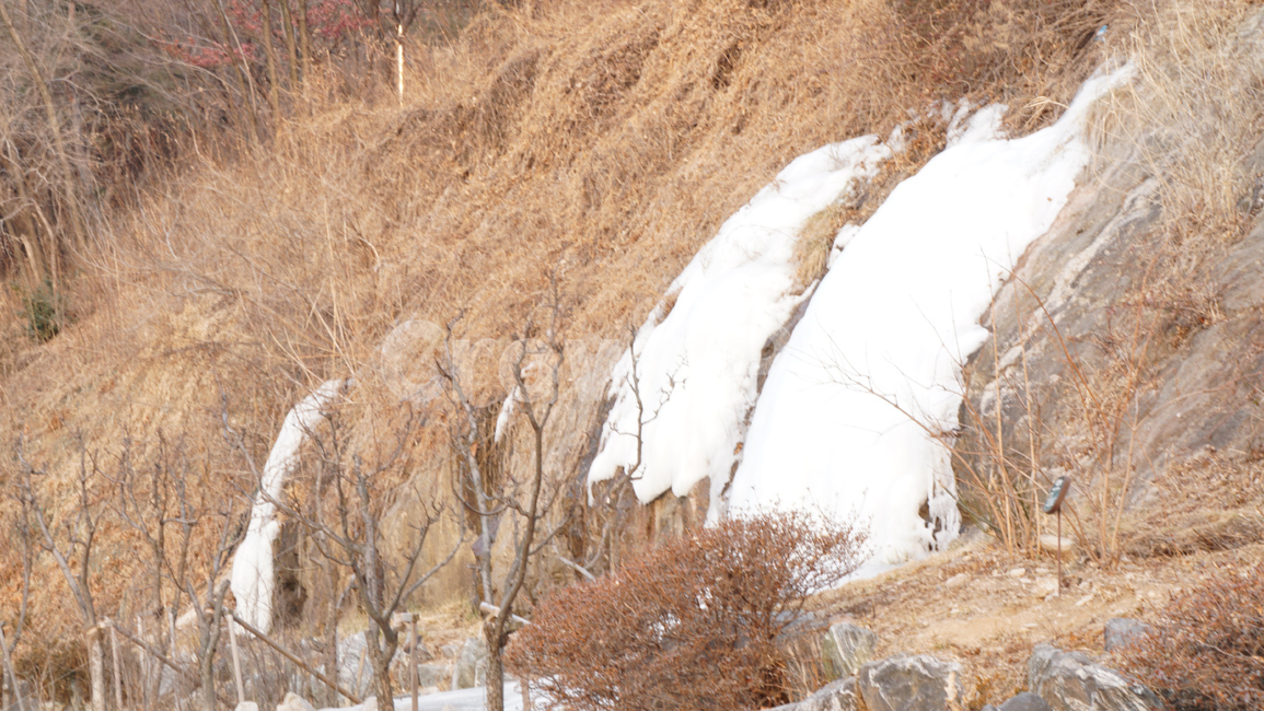 낙산공원,산,겨울,cold,낙산,park,풍경,nature,plant,겨울,계절,winter,season,자연,풍경,nature,landscape,outdoors,옥외