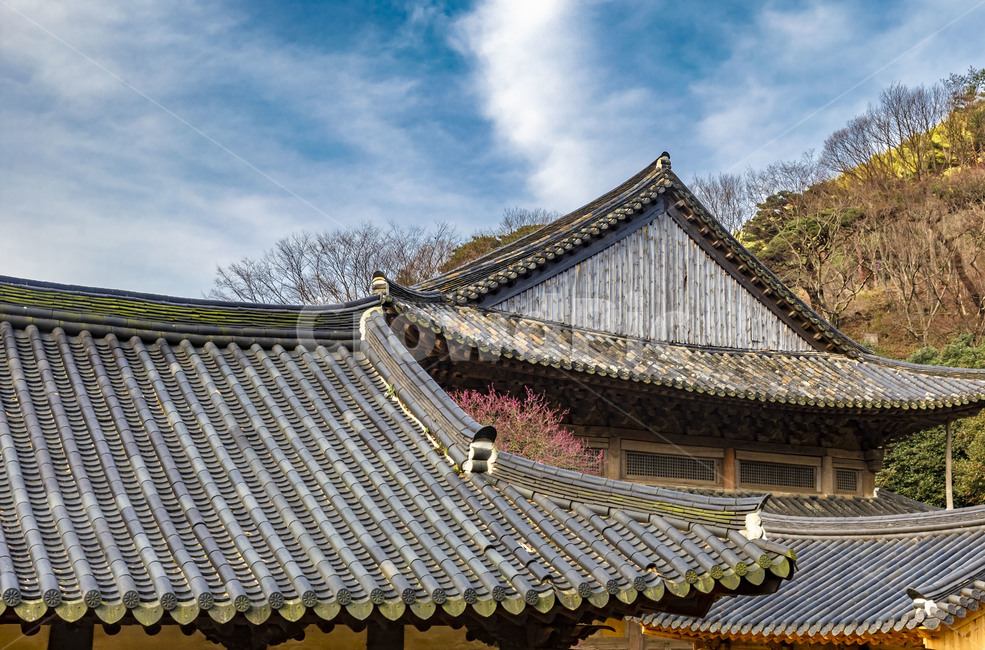 화엄사,문화유산,사찰,인간,기와,풍경,지붕,roof,하늘,전통건축물,한옥