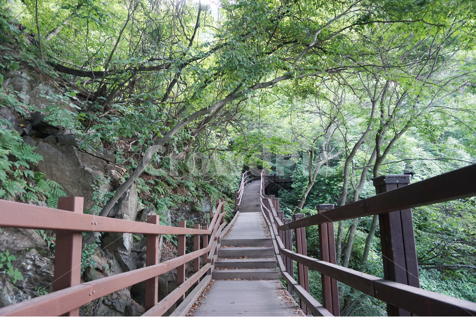 계단,등산,숲,산책,둘레길,숲속,하이킹,옛길,산막이옛길,나들이,자연,휴양,자연휴양림,휴양림,힐링,공기,여행,걷기,운동,피톤치드,녹색,친환경,환경,외출,국립공원,자연보호,식목일,여름