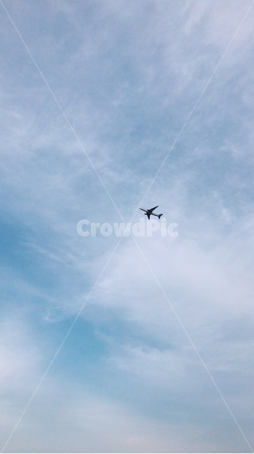 비행기,하늘,자연,flying,나는