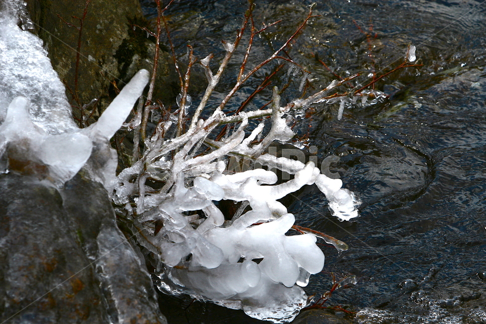 겨울계곡,계곡,시냇물,얼음,고드름,겨울,자연,풍경,landscape,nature,season,winter,겨울,계절,winter,season